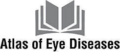 Atlas of Eye Diseases Logo